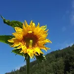 Apartmán Trinker - Lungau Karte Inklusive