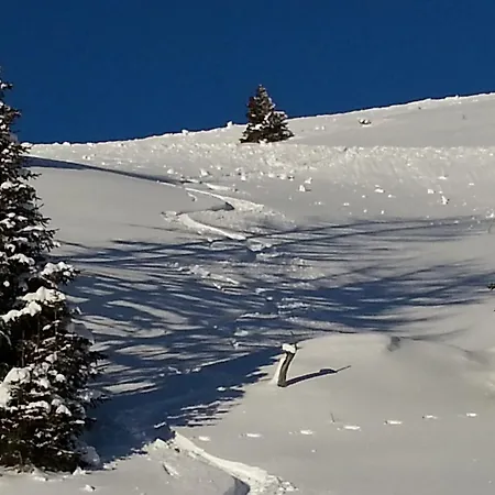 Trinker - Lungau Karte Inklusive *